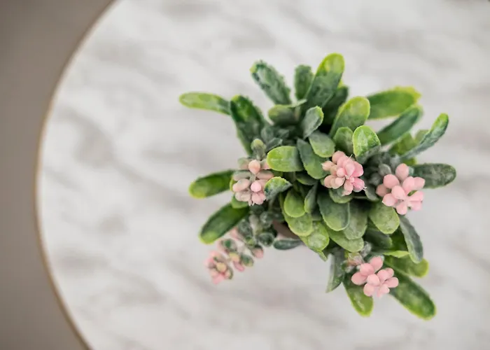 Casa Lemonia - 110 Sqm Maisonette Appartamento