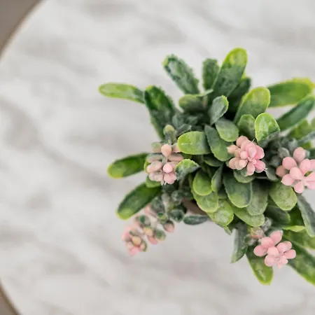 Casa Lemonia - 110 Sqm Maisonette דירה